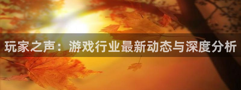 蓝冠娱乐平台注册资金多少：玩家之声：游戏行业最新动态与深度分